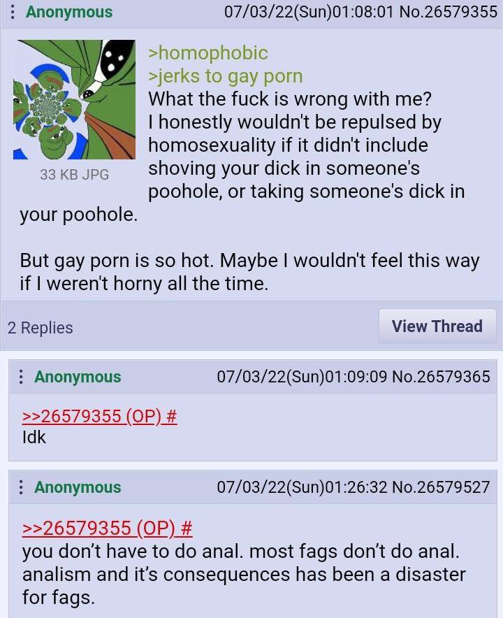 Anonymous 07/03/22(Sun)01:08:01 No.26579355 >homophobic >jerks to gay porn What the fuck is wrong with me? honestly wouldn't be repulsed homosexuality if it didn't include 33 JPG shoving your dick in 