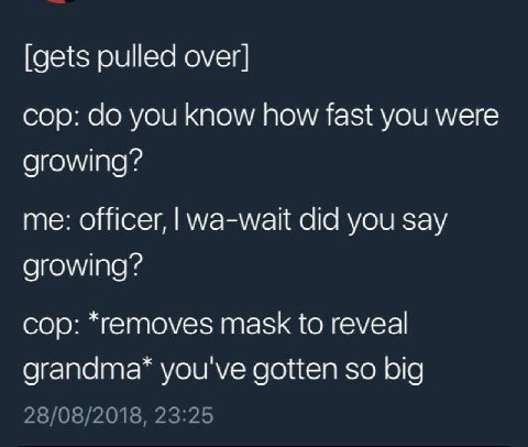 [gets pulled over] cop: you know how fast you were growing? me: officer, wa-wait did you say growing? cop: *removes mask to reveal grandma* you've gotten so big 28/08/2018, 23:25