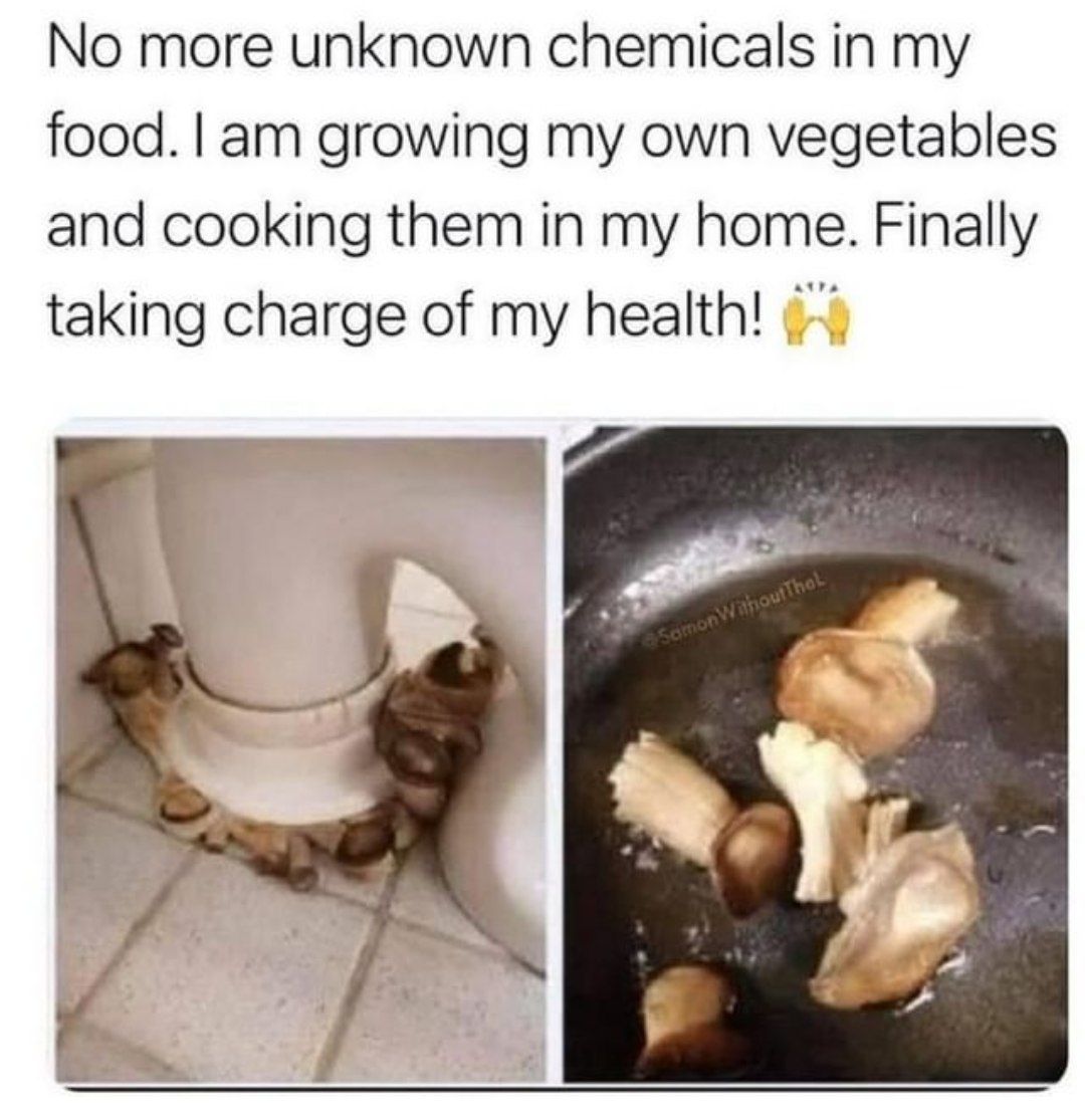 No more unknown chemicals my growing my own vegetables and cooking them in my home. Finally taking charge of my health!
