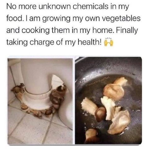 No more unknown chemicals my growing my own vegetables and cooking them in my home. Finally taking charge of my health!