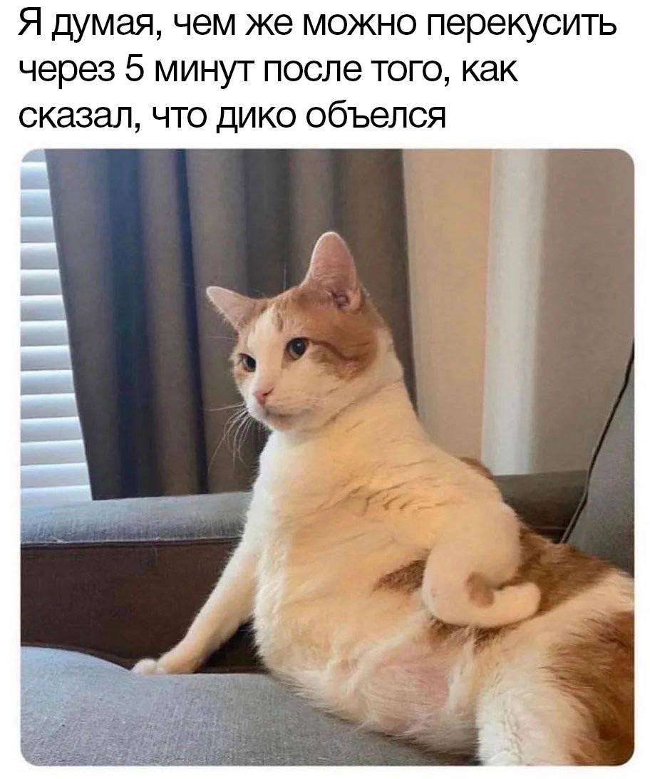 Я думая, чем же можно перекусить через 5 минут после того, как сказал, что дико объелся