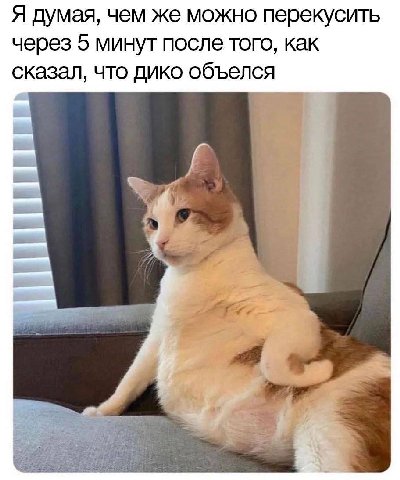 Я думая, чем же можно перекусить через 5 минут после того, как сказал, что дико объелся