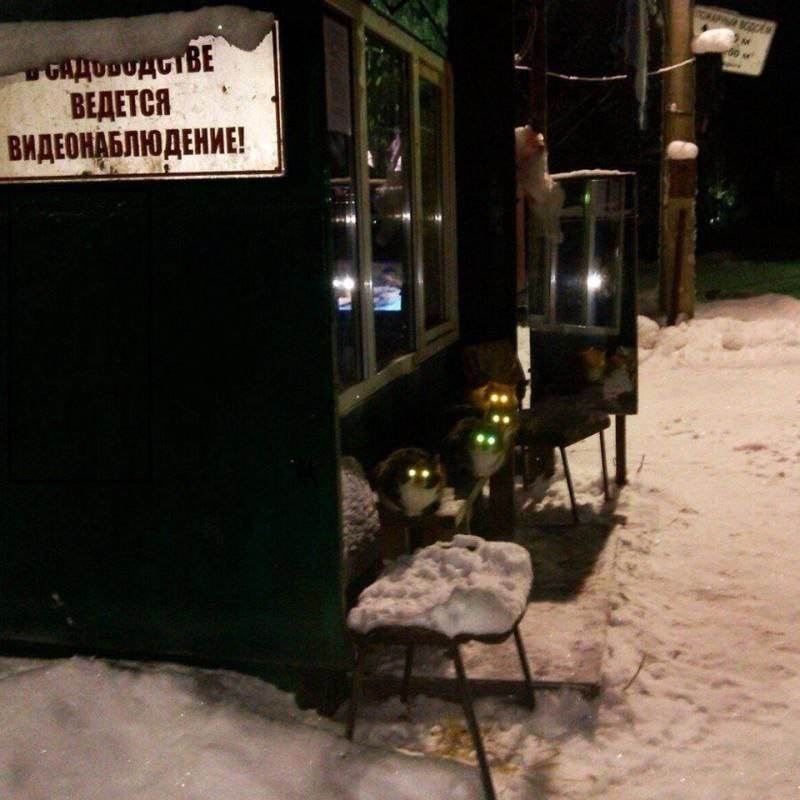ВЕДЕТ