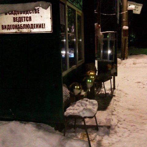 ВЕДЕТ
