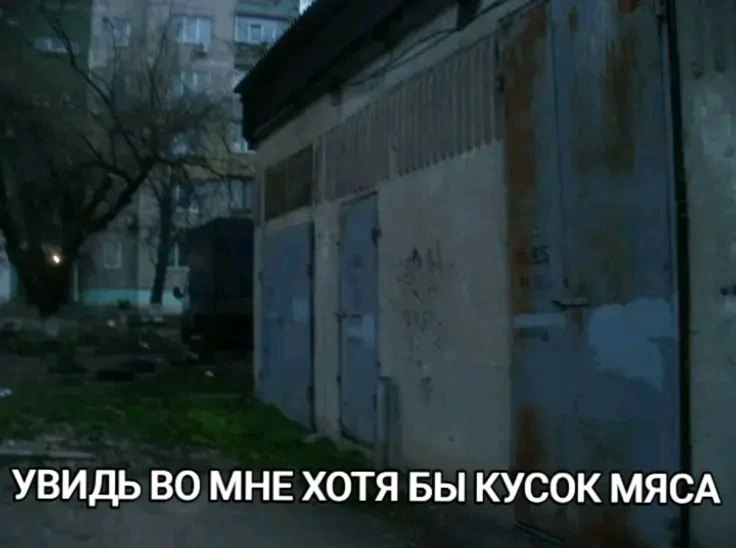 УВИДЬ ВО МНЕ ХОТЯ БЫ КУСОК МЯСА