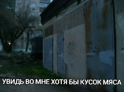 УВИДЬ ВО МНЕ ХОТЯ БЫ КУСОК МЯСА