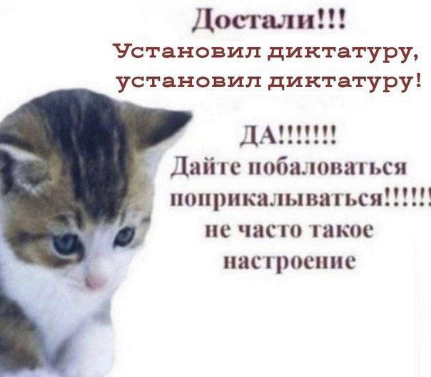 Достали Установил диктатуру, установил диктатуру! Дайте побаловаться поприкалываться не часто такое настроение