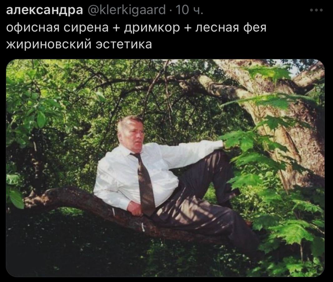 александра офисная сирена дримкор лесная фея жириновский эстетика