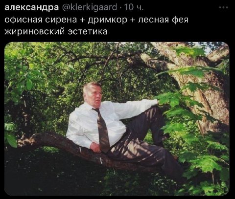 александра офисная сирена дримкор лесная фея жириновский эстетика