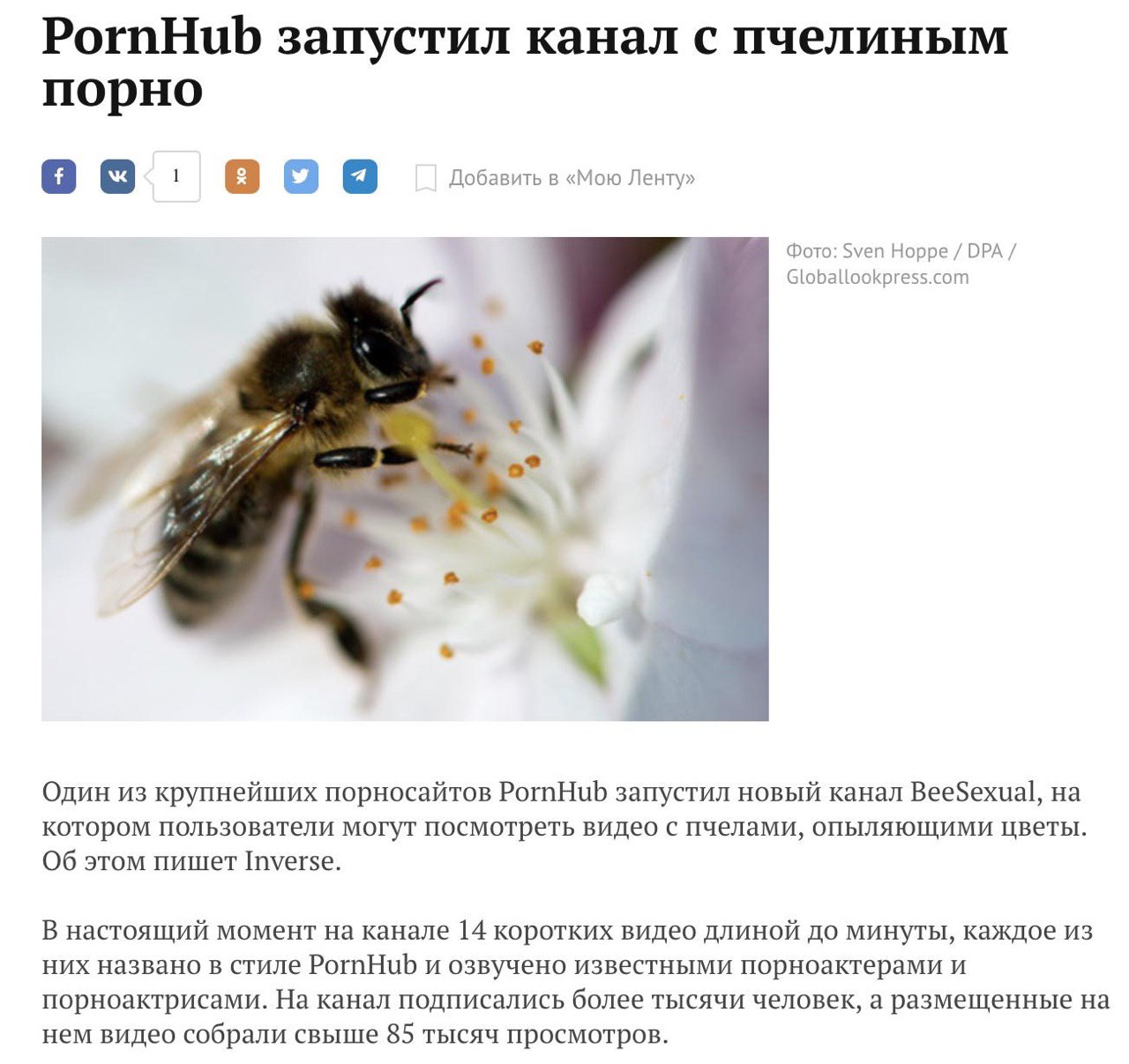 PornHub запустил канал с пчелиным порно 1 Добавить в «Мою Ленту» Фото: Sven Hoppe ОРА Globallookpress.com Один из крупнейших порносайтов PornHub запустил новый канал BeeSexual, на котором пользователи