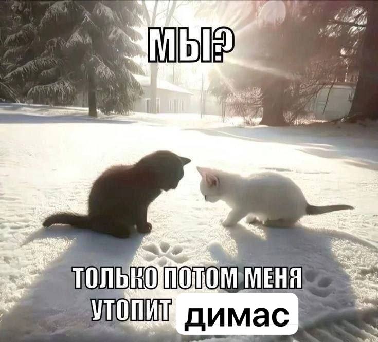 А МЕНЯ pat димас.