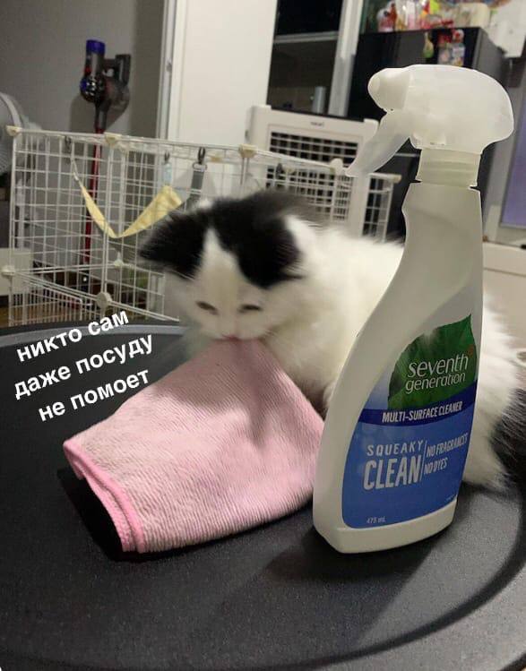 4 tua; i= ocy же gent SQUEAK A