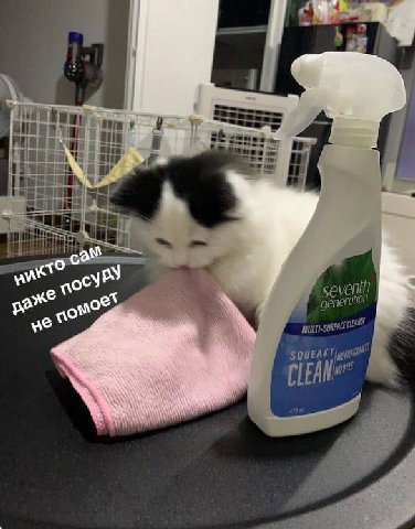 4 tua; i= ocy же gent SQUEAK A