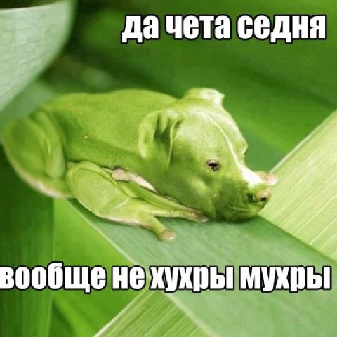 седня вообще не хухры мухры