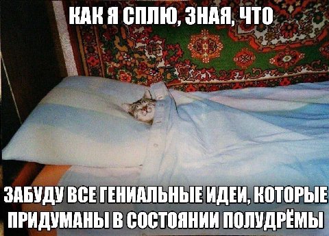 СПЛЮ, ЗНАЯ, ЧТО ЗАБУДУ BCE ГЕНИАЛЬНЫЕ ИДЕИ, КОТОРЫЕ ПРИДУМАНЫ В СОСТОЯНИИ ПОЛУДРЕМЫ