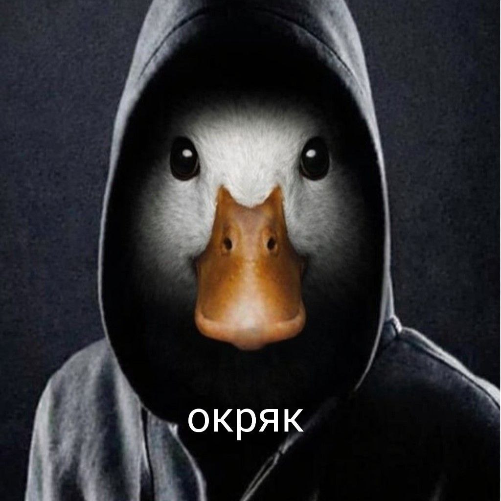окряк