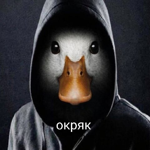 окряк