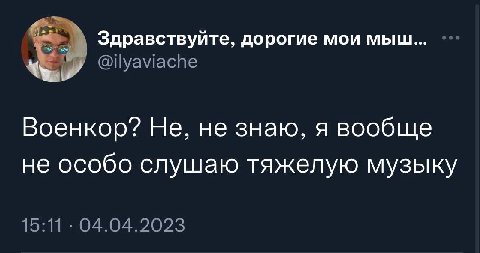 Здравствуйте, дорогие мои мыш... Военкор? Не, не знаю, я вообще не особо слушаю тяжелую музыку