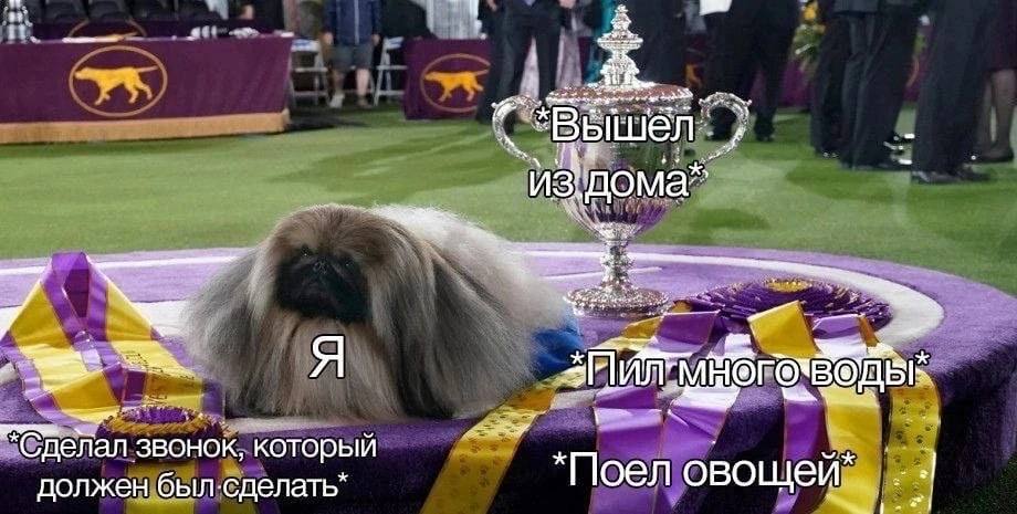 Я звонок, который должен был.сделать” овощей