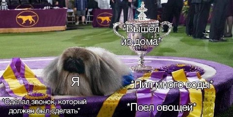 Я звонок, который должен был.сделать” овощей
