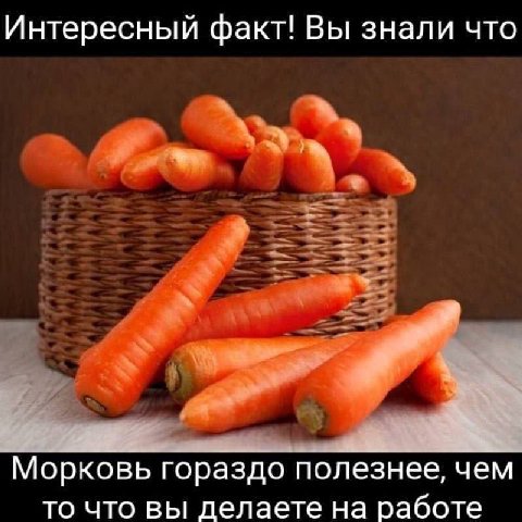 Интересный факт! Вы знали что Морковь гораздо полезнее, чем то что вы делаете на работе
