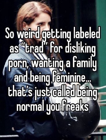 So labeled For isliking /porn, wanting a Family and being that’s ica normal