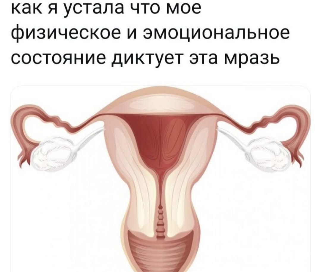 как я устала что мое физическое и эмоциональное состояние диктует эта мразь
