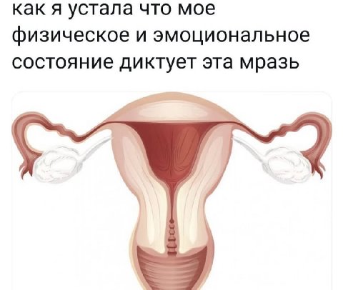 как я устала что мое физическое и эмоциональное состояние диктует эта мразь