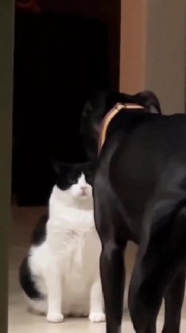 мем