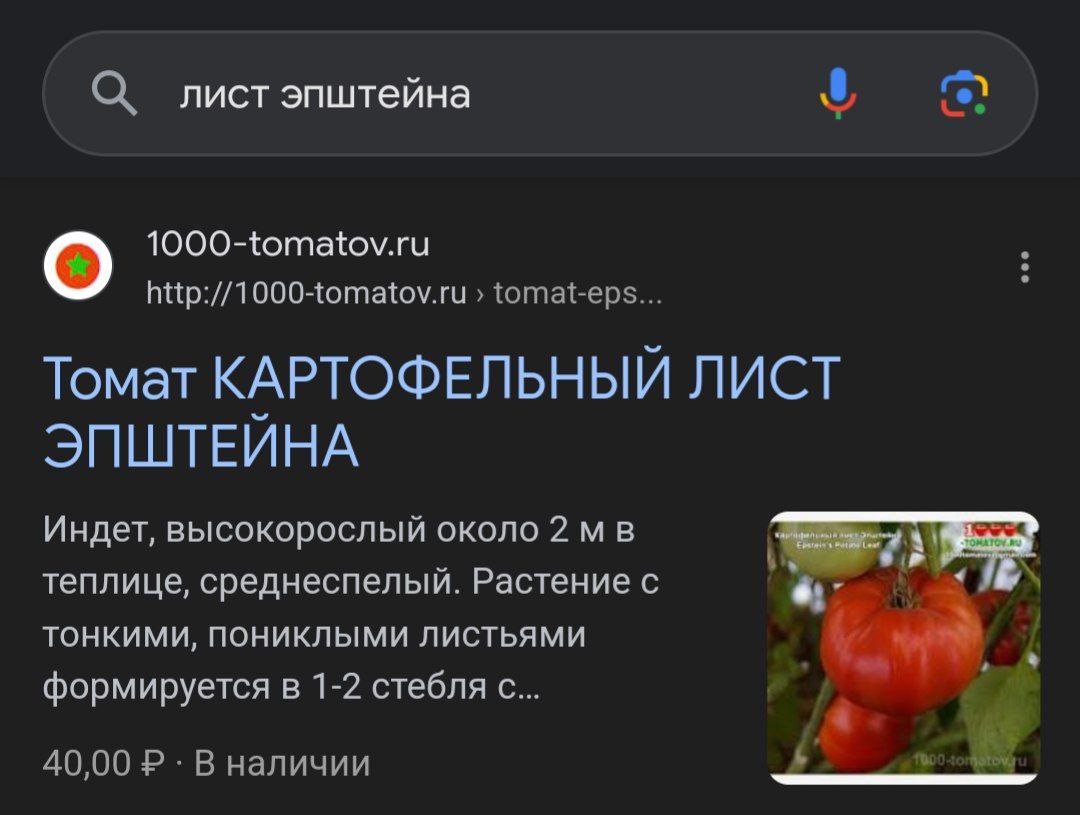 Почему все в интернете сейчас обсуждают какой то помидор блять