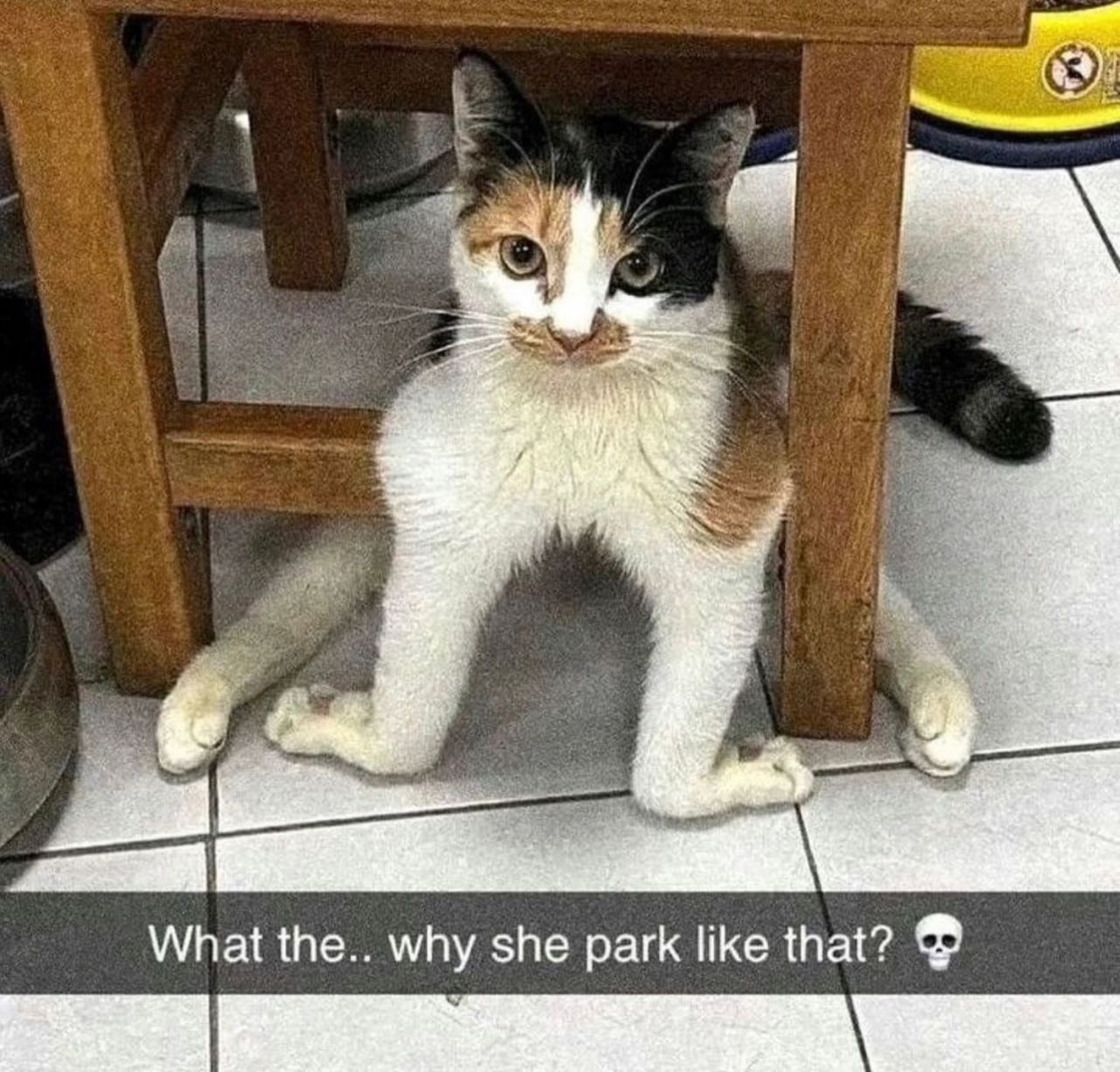 What the.. why she park like that?