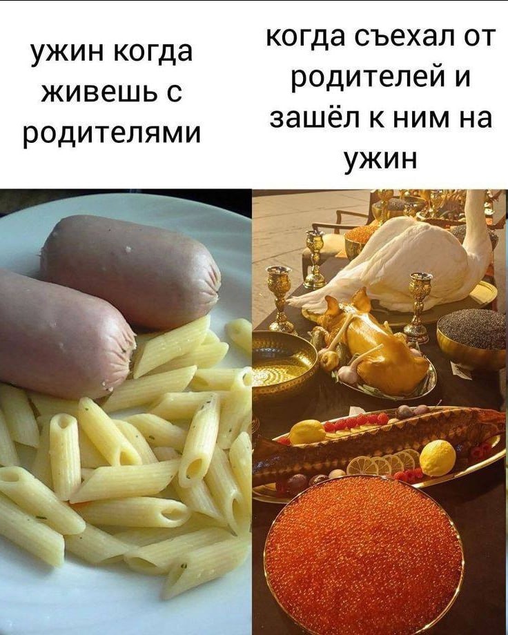 ужин когда когда съехал от живешь с родителей и родителями зашел к ним на ужин