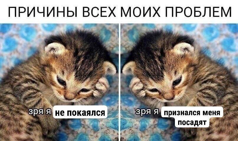 ПРИЧИНЫ ВСЕХ МОИХ я не покаялся Зря признался меня посадят oF tig