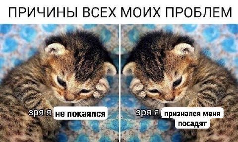 ПРИЧИНЫ ВСЕХ МОИХ я не покаялся Зря признался меня посадят oF tig