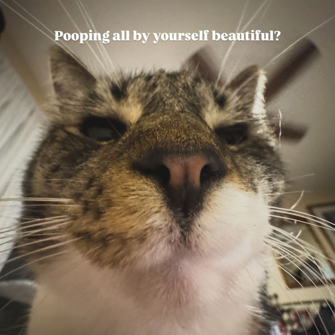 Pooping all yourself beautiful?
