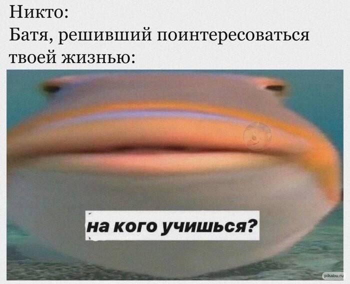 Никто: Батя, решивший поинтересоваться твоей жизнью: на кого учишься?