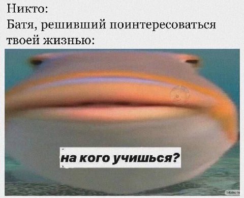 Никто: Батя, решивший поинтересоваться твоей жизнью: на кого учишься?