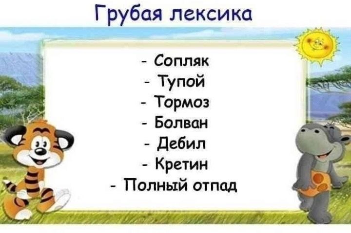 Грубая лексика Сопляк Тупой Тормоз Болван Дебил Кретин Полный отпад