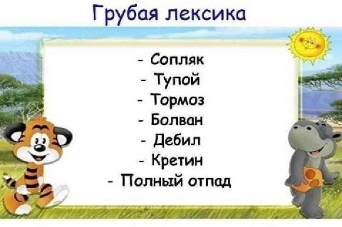 Грубая лексика Сопляк Тупой Тормоз Болван Дебил Кретин Полный отпад
