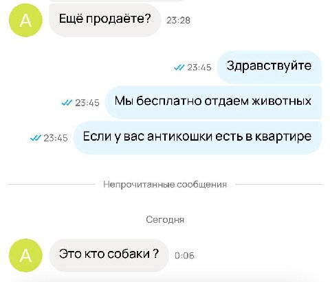 Ещё продаёте? 23:28 23:45 Здравствуйте 23:45 Мы бесплатно отдаем животных 23:45 Если у вас антикошки есть в квартире Непроч итанные сообщения Сегодня Это кто собаки 0:06