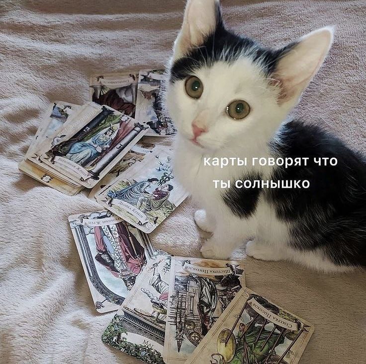 карты говорят что ты солнышко