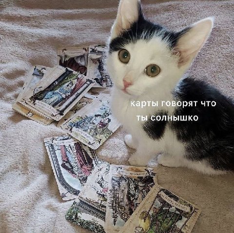 карты говорят что ты солнышко
