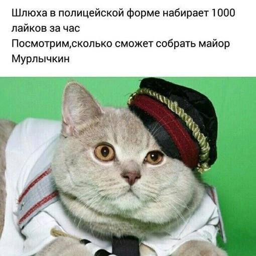 Шлюха в полицейской форме набирает 1000 лайков за час Посмотрим‚сколько сможет собрать майор Мурлычкин 3 2 POI