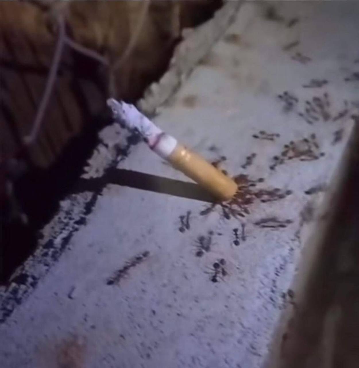 a, К