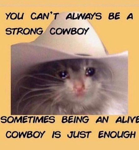 YOU CAN’T ALWAYS А STRONG. COWBOY SOMETIMES BEING AN ALIVE COWBOY IS JUST ENOUGH