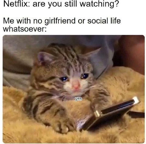 Мех: are you still watching’? Me with no girlfriend or social life whatsoever: