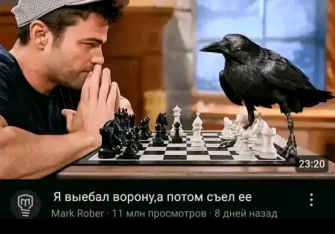 Wey Я выебал воронуа потом съел ее Mark Rober 11 млн просмотров 8 дней назад