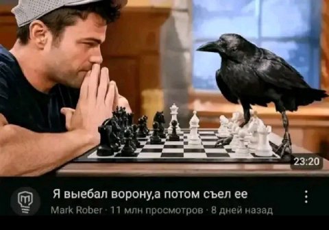 Wey Я выебал воронуа потом съел ее Mark Rober 11 млн просмотров 8 дней назад