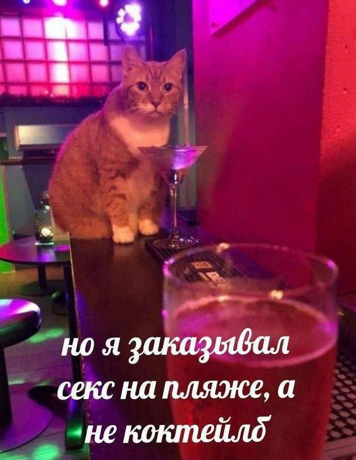 3 но я заказывал секс на пляже, а -некоктейлд