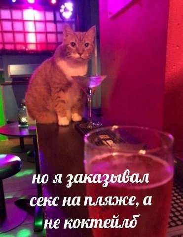 3 но я заказывал секс на пляже, а -некоктейлд